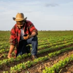young farmer using mobile phone 600nw 2480895761